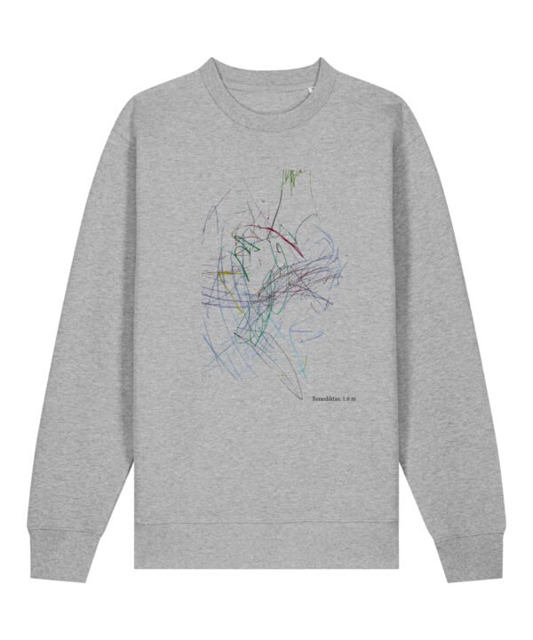 Džemperis su piešiniu