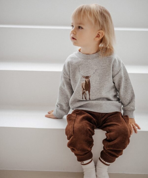 Elnias vaikiškas džemperis